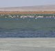 eilat-israele