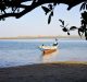 delta-saloum