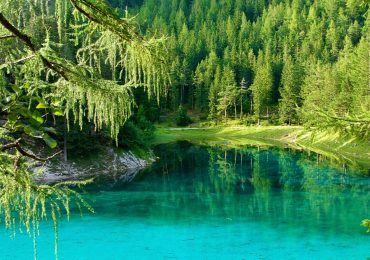 gruner see austria