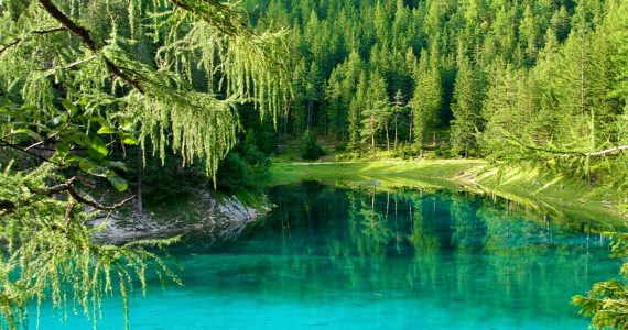 gruner see austria