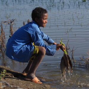 Etiopia lago Ziway