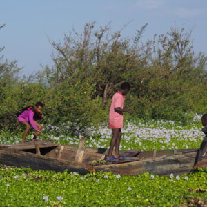 Etiopia lago Ziway