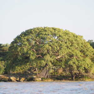 Etiopia lago Ziway