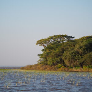 Etiopia lago Ziway