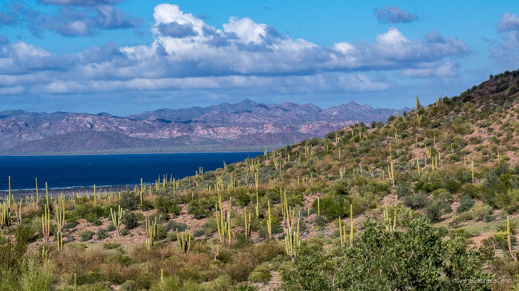 baja california del sud