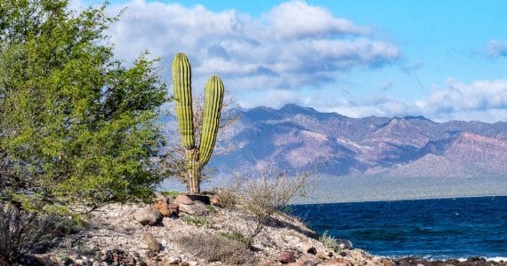 baja california del sud