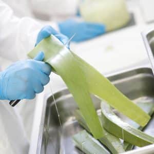 N&B cosmesi bio: dalla natura il cibo puro per la pelle