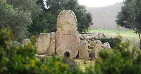 Archazena tomba Coddu Vecchiu