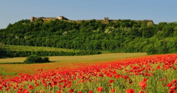 Rocca di Lonato