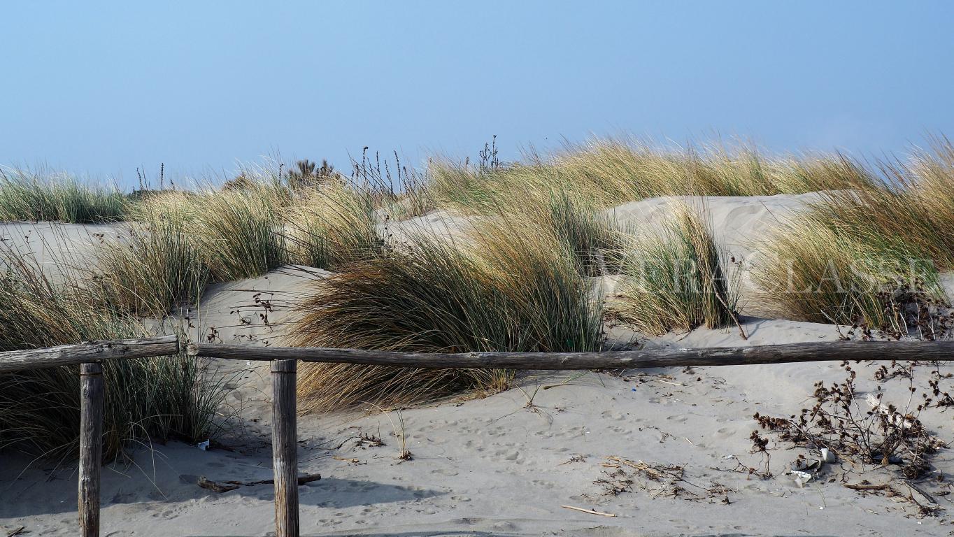 porto caleri spiaggia come arrivare