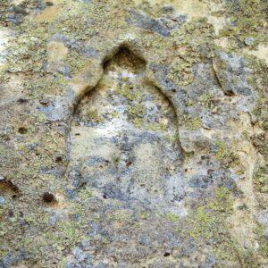 Le grotte della Gurfa in Sicilia: storia, mistero e leggenda