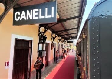 Canelli