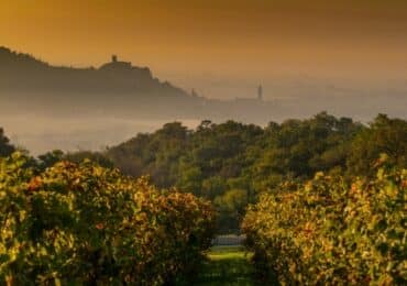 Soave