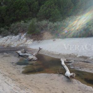 La riserva naturale