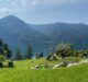 Hotel Aria Retreat & Spa lago Lugano
