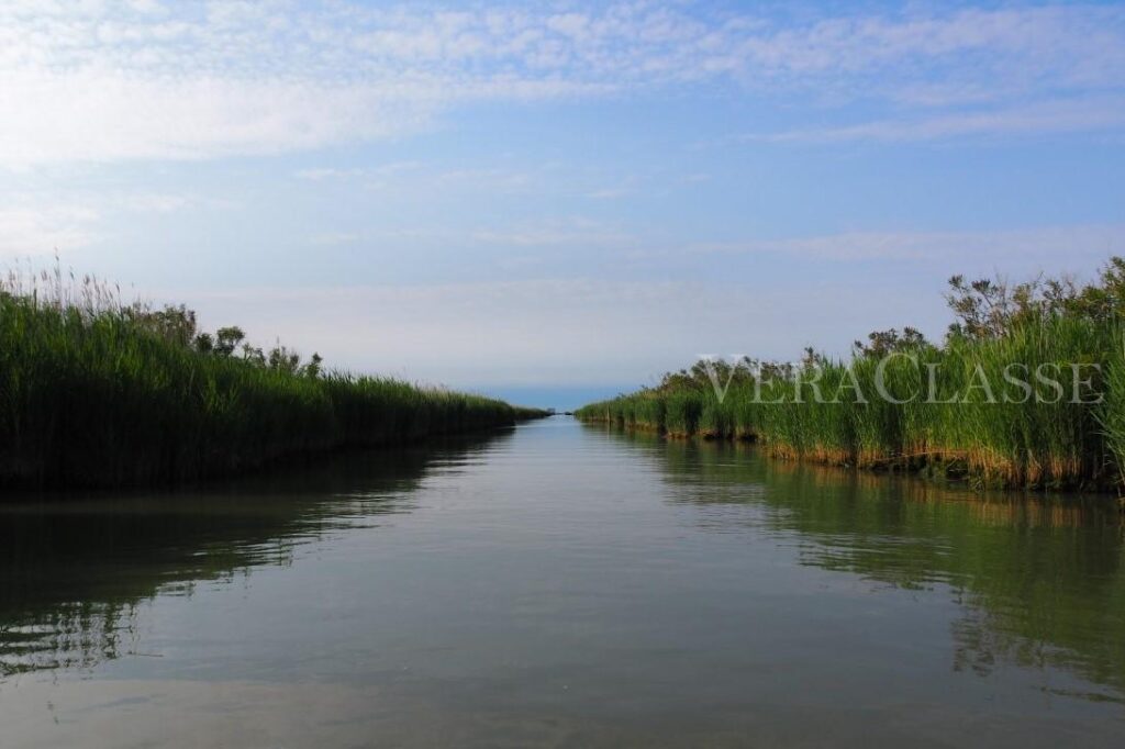 Isola dell’Amore a Goro (FE) nel Delta del Po Fotografo di Guerra Roberto Cavasin