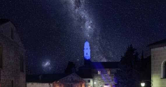 Calici di stelle
