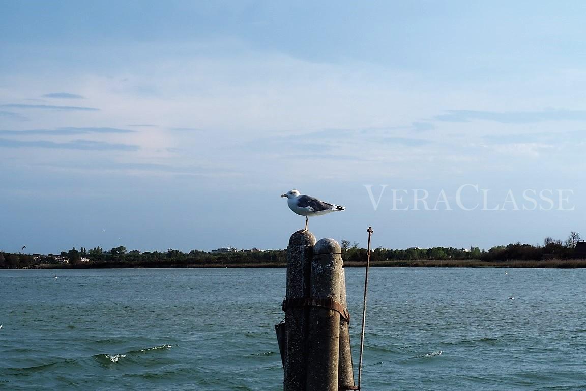 Caorle Veneto