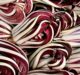 Radicchio Rosso Treviso