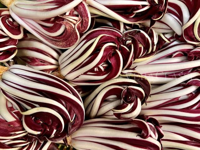 Radicchio Rosso di Treviso