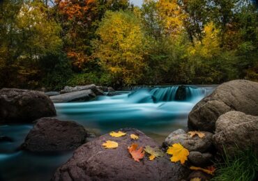 TERME TRENTINO ALTOADIGE