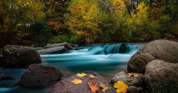 TERME TRENTINO ALTOADIGE