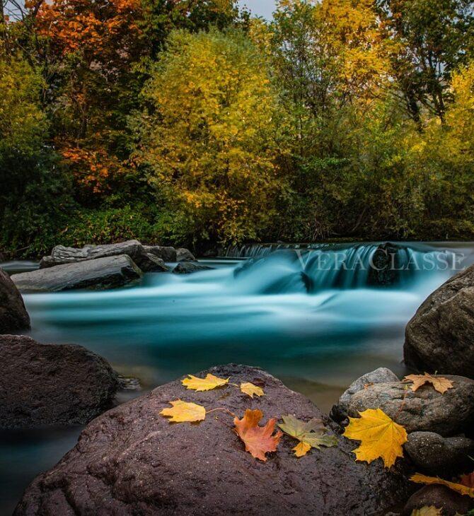 TERME TRENTINO ALTOADIGE