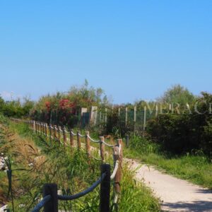Isola di Pellestrina, tra natura e storia della laguna di Venezia