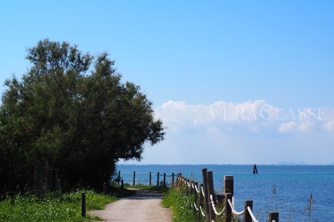 Isola Pellestrina Venezia