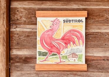 maso gallo rosso alto adige