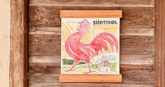 maso gallo rosso alto adige