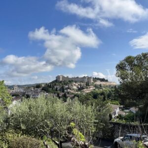 Vaucluse in Provenza, itinerario in Francia tra castelli e giardini in fiore