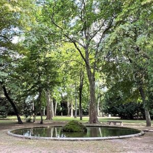 Vaucluse in Provenza, itinerario in Francia tra castelli e giardini in fiore