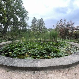Vaucluse in Provenza, itinerario in Francia tra castelli e giardini in fiore