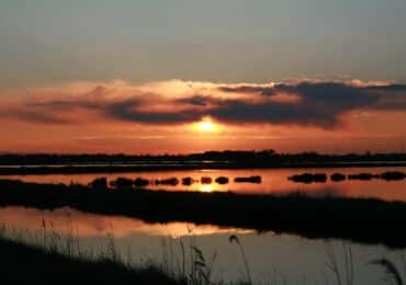 SALINE CERVIA