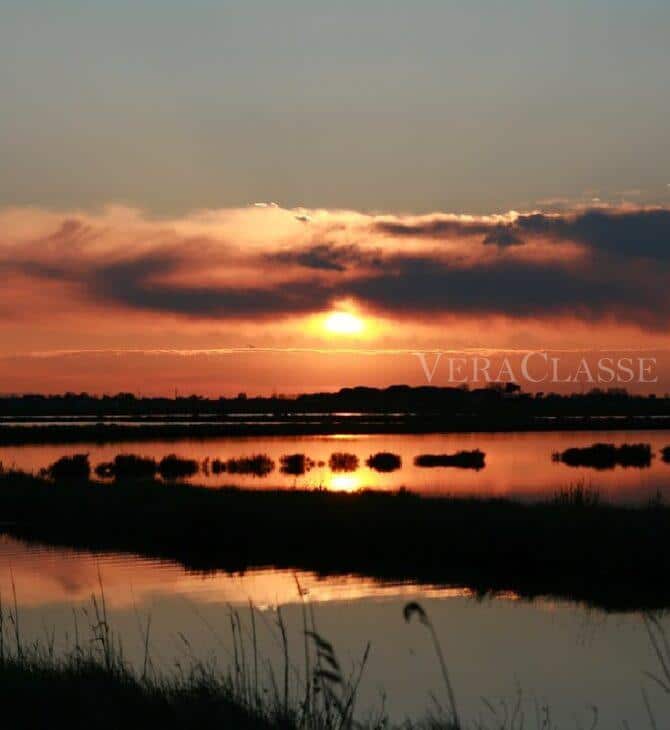 SALINE CERVIA