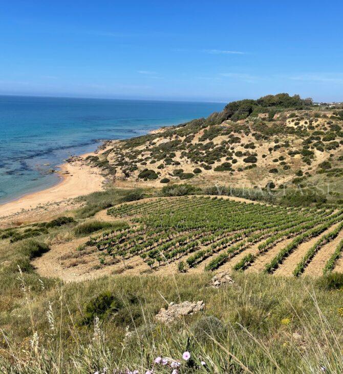 Valle del Belìce Sicilia