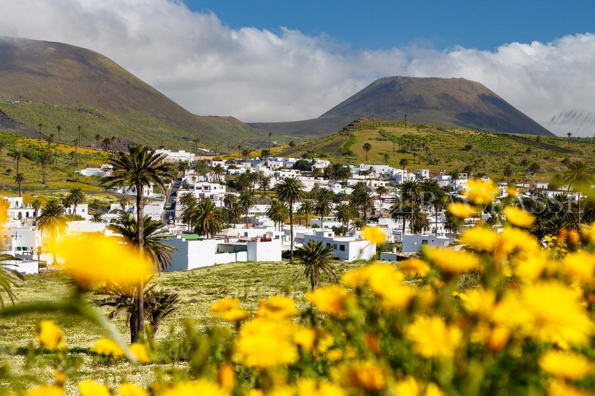 CANARIE 8 BORGHI