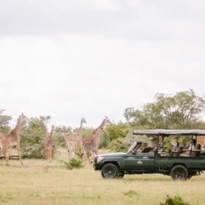 Safari in Kenya: esperienza di lusso nella Masai Mara