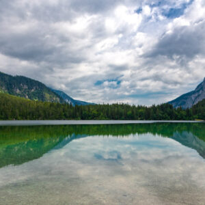 PHOTO alessandra barbieri da Pixabay