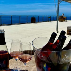 La terrazza degustazione della Tenuta le Ripalte