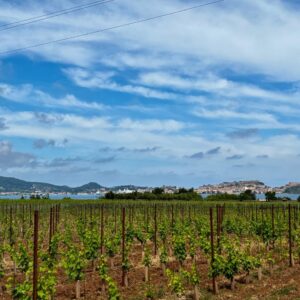 Panorama Tenuta La chiusa