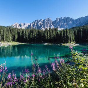 Hotel Sonnalp Obereggen: eleganza alpina in Alto Adige
