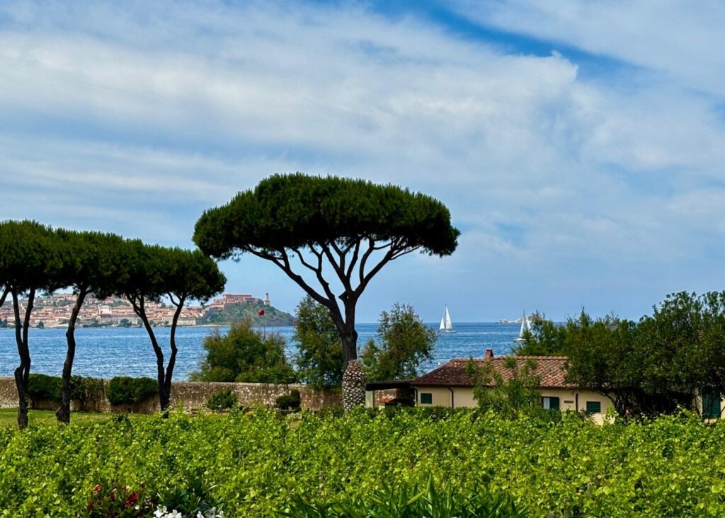 Isola d'Elba