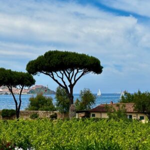 Tenuta la Chiusa Elba