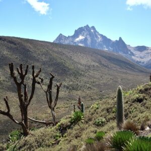 Monte Kenya