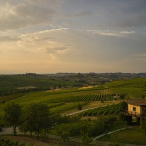 Casa Sospesa tra le vigne