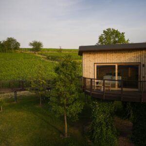 Casa Sospesa tra le vigne
