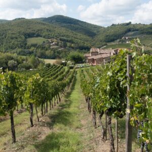 chianti toscana