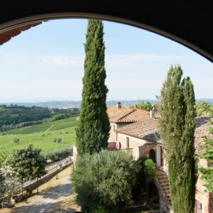 Laqua Vineyard Cannavacciuolo Toscana